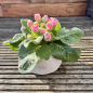 Preview: Blumentopf Hängetopf Pflanztopf Pflanzschale rund Beton Topf Kübel Ø 13 cm 15-3