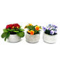 Preview: Blumentopf Übertopf Pflanztopf Pflanzschale rund Beton Topf Kübel 3er Set Ø 13 cm 15-9