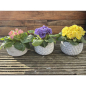 Preview: Blumentopf Übertopf Pflanztopf Pflanzschale rund Beton Topf Kübel 3er Set Ø 13 cm 15-9