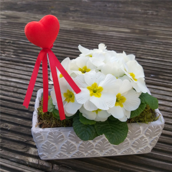 Pflanzschale 06 Blumentopf Pflanztopf grau weiss Stein Schale Blätter Haptik Beton