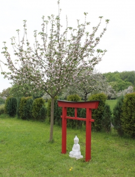 Asia-Art-Factory - Torii 04 Japan Garten Holzbogen Torbogen Tor Holz