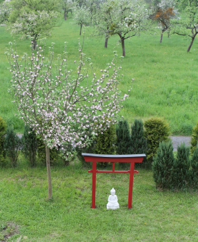 Torii 04 Japan Garten Holzbogen Torbogen Tor Holz Feng Shui Asien 175 x 180 cm