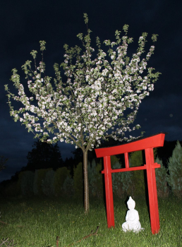 Torii 04 Japan Garten Holzbogen Torbogen Tor Holz Feng Shui Asien 175 x 180 cm
