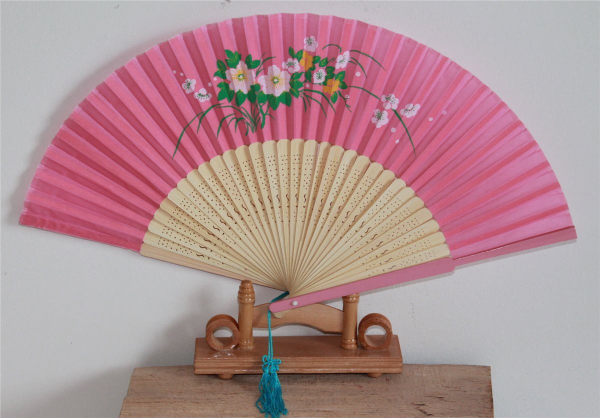 Fächer Sommer Taschenfächer Handfächer Bambus Holz rot blau rosa wasserfest