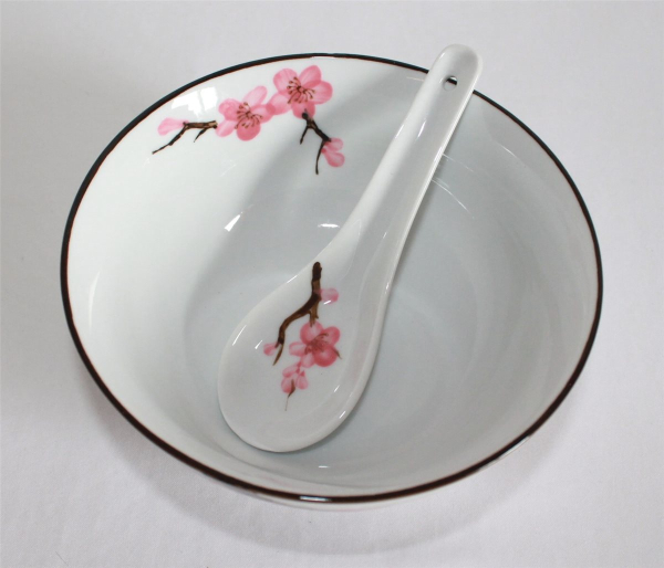 779 Reis Suppe Schale Sakura Soba Bowl 2er Set Kirschblüte ø 11/ 15 cm 2 Löffel