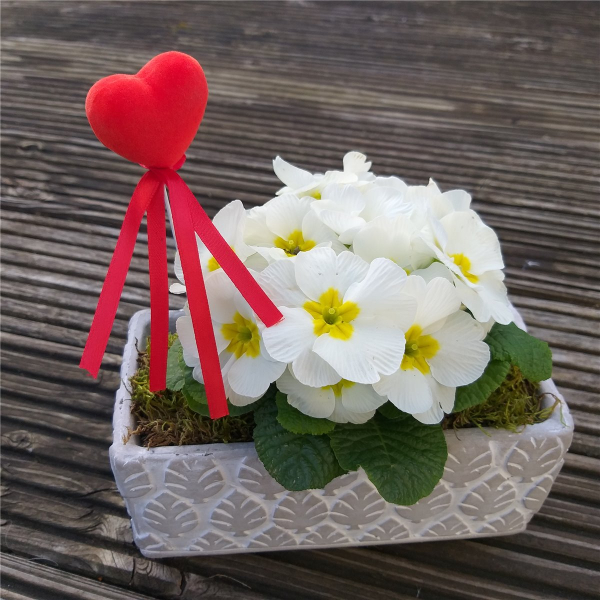 Pflanzschale 06 Blumentopf Pflanztopf grau weiss Stein Schale Blätter Haptik Beton