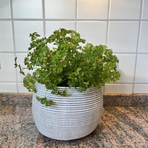 Blumentopf Übertopf Pflanztopf Pflanzschale rund Beton Topf Kübel Ø 17 cm, 17-3