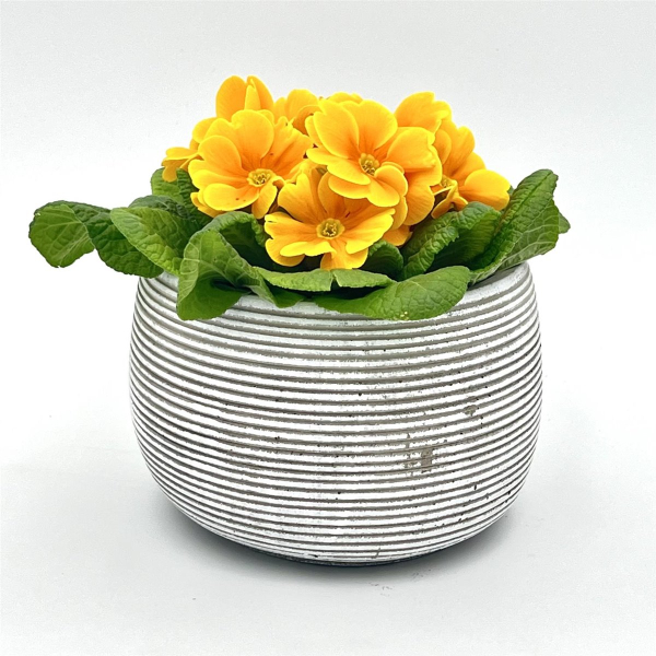 Blumentopf Hängetopf Pflanztopf Pflanzschale rund Beton Topf Kübel Ø 15 cm, 16-3