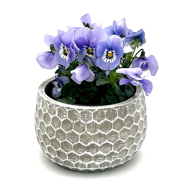 Blumentopf Übertopf Pflanztopf Pflanzschale rund Beton Topf Kübel 3er Set Ø 13 cm 15-9