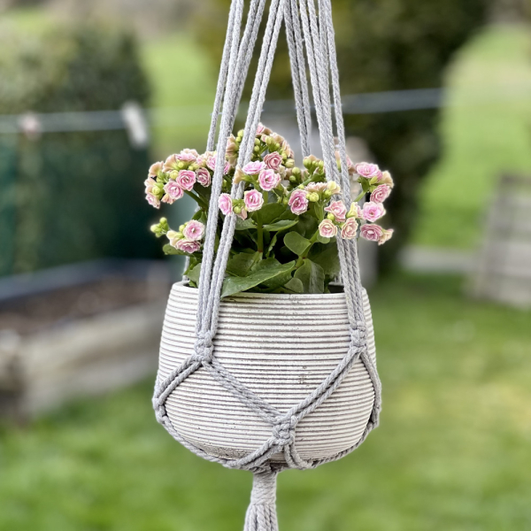 Blumentopf Übertopf Pflanztopf Pflanzschale rund Beton Topf Kübel Ø 17 cm, 17-3