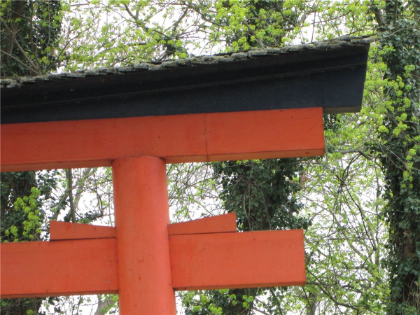 Torii 08 Japan Garten Holzbogen Torbogen Tor Holz Feng Shui Asien 400 x 470 cm