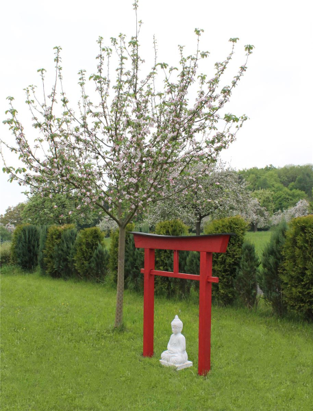 Torii 04 Japan Garten Holzbogen Torbogen Tor Holz Feng Shui Asien 175 x 180 cm